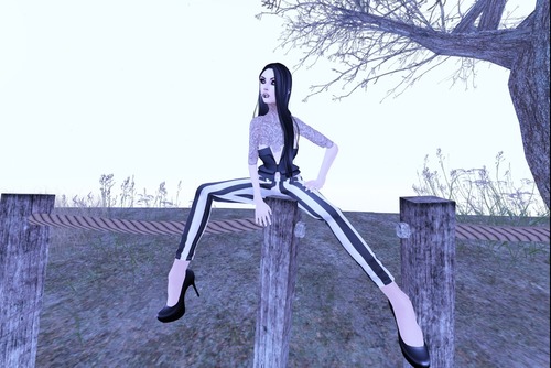 Web 51abf34ebd0b8e1875000001