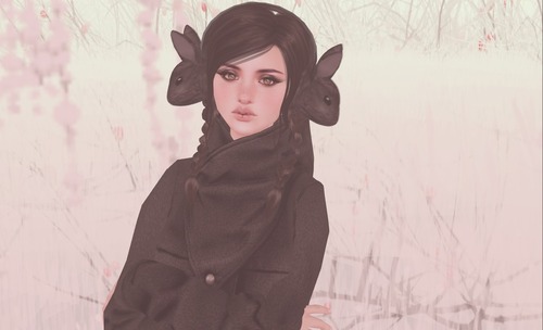 Web 5290b843a8bd163291000001