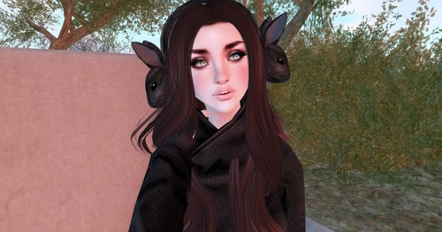 Web 5291472178a0031f00000001