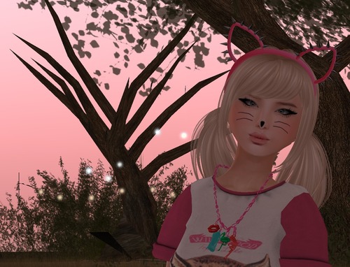 Web 5296b353cd41fd53ea000001