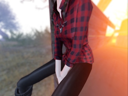 Web 529e7d9b8a544435ab000001