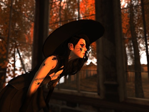 Web 55fd6f09f8a1ec1b26000001