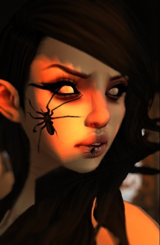 Web 55fd744ca73e213fe9000001