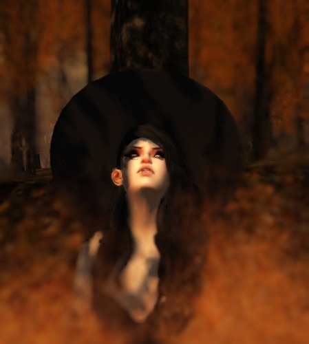 Web 55fdab6a8da5723790000001