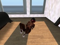 Small 578412b0b713f733e2000001