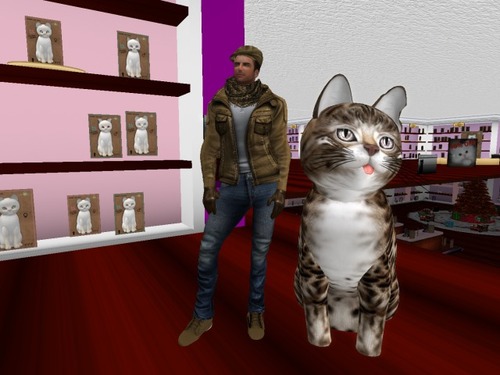 Web 5670d7b4f8a1ec1674000001