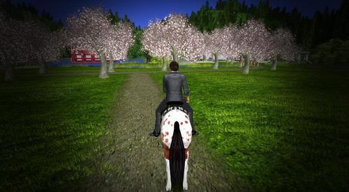 Web 61a5258efc69d6614a8a4028