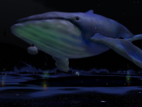 Web 57487c71f8a1ec0891000001