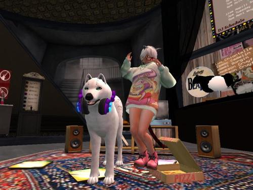 Web 58f1a0d5d9859c1a5a000001