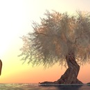 Thumb 544786618da5721a27000001