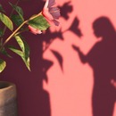 Thumb 551e9677128cc96bc6000001