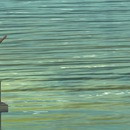 Thumb 55242b9ef8a1ec2253000001