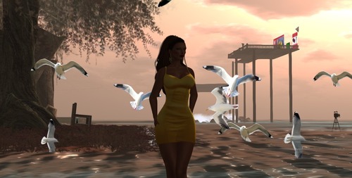 Web 54668e61128cc910be000001