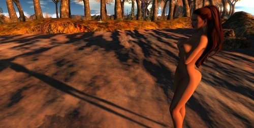 Web 54669232f8a1ec258b000001