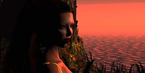 Web 54693af9f8a1ec13f1000001