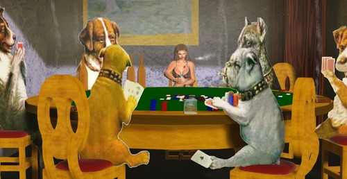 Web 5526bf10f8a1ec26a7000001