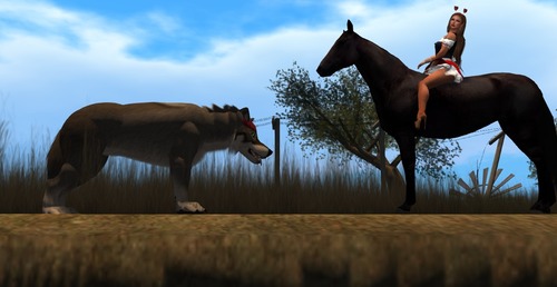 Web 55356f64128cc976c1000001