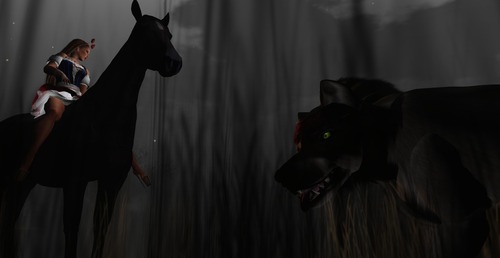 Web 553570408da57243a0000001