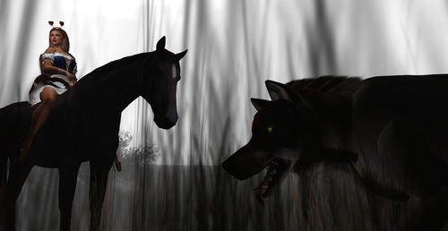 Web 553570978da5724833000001