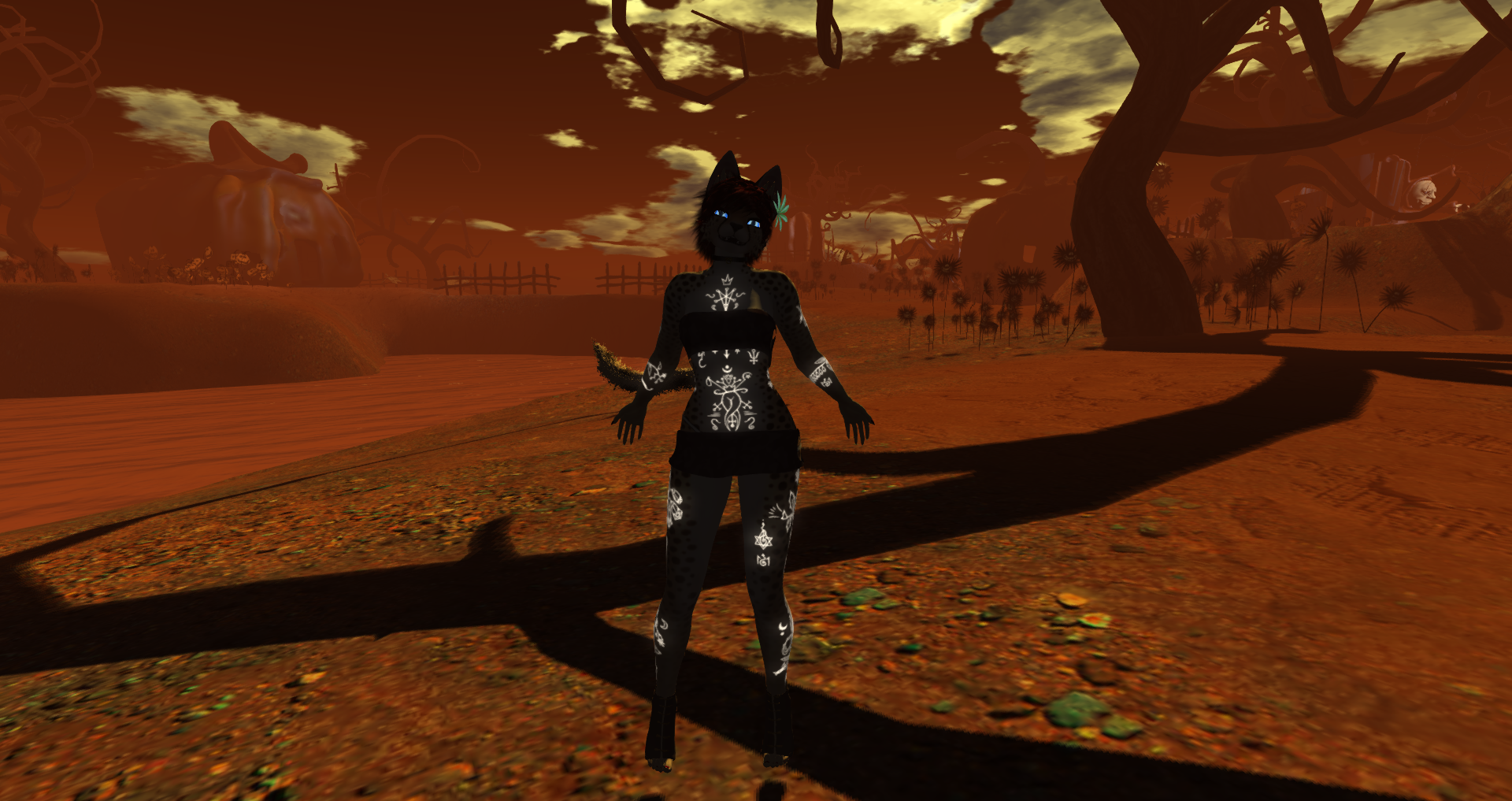 Original 6341a53fbcf86023a59dac6a