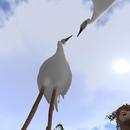 Thumb 624b45bd4ddcbf48cab39e7e