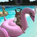 Thumb 624c70f398366d5679423edf