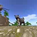 Thumb 6288c1214ddcbf2993b39e7e