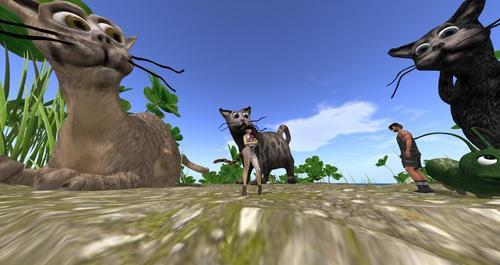 Web 6288c1214ddcbf2993b39e7e