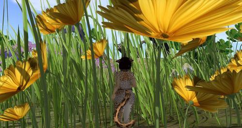 Web 6288c3997b8dd77d1e656877