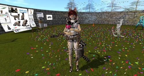 Web 630bd75d96292946db4c3295