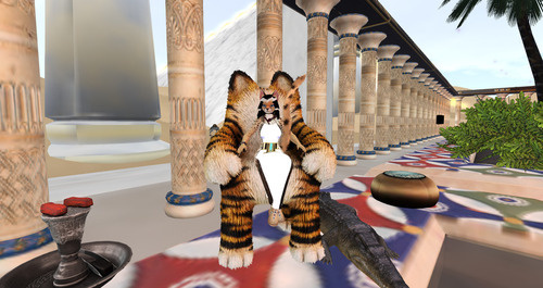 Web 66cb21a4366b4606781d3f1b