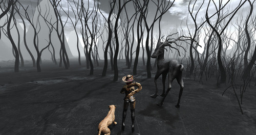 Web 66e2c1559945f32b211ebfc5