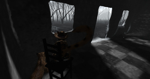 Web 66e2c429820539580c47e3e8