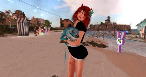 Web 672645523ddf1e0d63c0695e