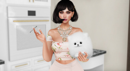 Web 66da9ae6c892c8328e846f77