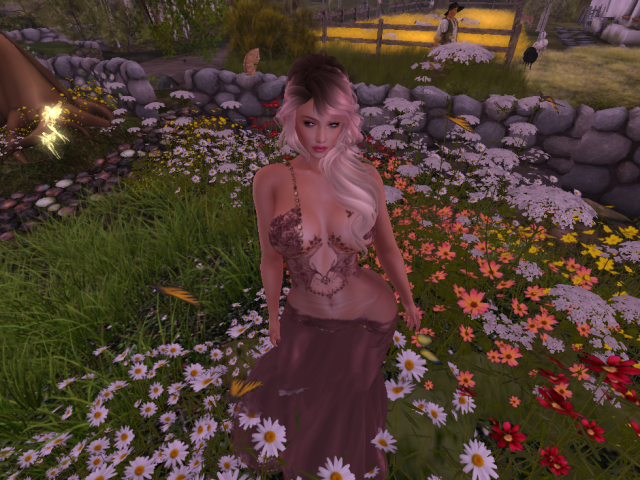 Original 57d5b2dbf8a1ec589f000001