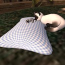 Thumb 56874bab9934e07d81000001