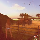 Thumb 57427171b713f7524b000001