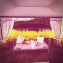 Thumb 579e4523e85cda7af7000001