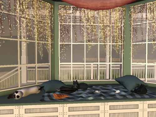 Web 56b7574e76408b34cb000001