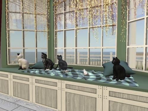 Web 56bf5959f8a1ec2ca3000001