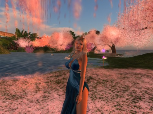 Web 56f29072e85cda2175000001