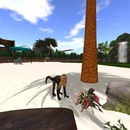 Thumb 56dc983bf8a1ec44e8000001