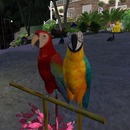 Thumb 57b873bae85cda7ae0000001