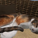 Thumb 57b8cb7af8a1ec71b3000001