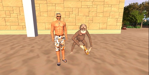 Web 56ecb58ae85cda581c000001