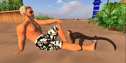 Web 56edd08ee85cda3189000001