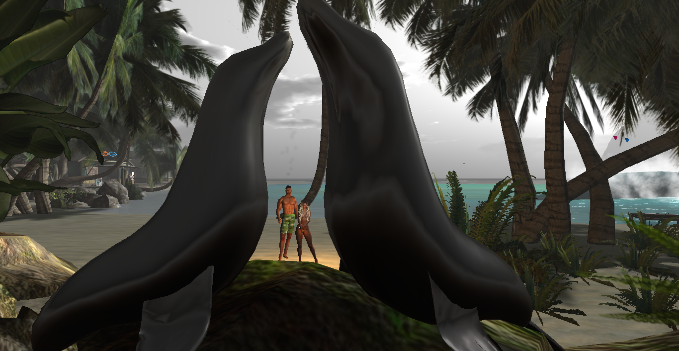 Original 58163652b713f743ad000001