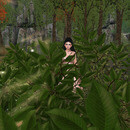 Thumb 670696029945f356b61ebfc5