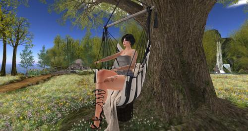 Web 5f37e6ff73ed1703260553ca